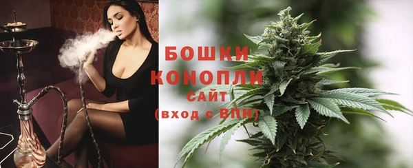 ГАЛЛЮЦИНОГЕННЫЕ ГРИБЫ Медвежьегорск