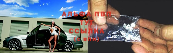 мяу мяу мука Михайловск