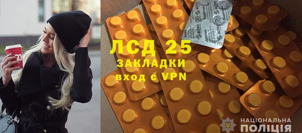 ГАЛЛЮЦИНОГЕННЫЕ ГРИБЫ Медвежьегорск