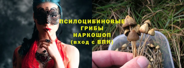 мяу мяу мука Михайловск