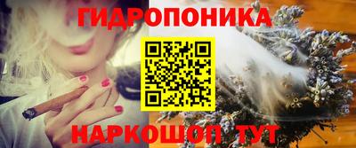 молекула духа Берёзовский