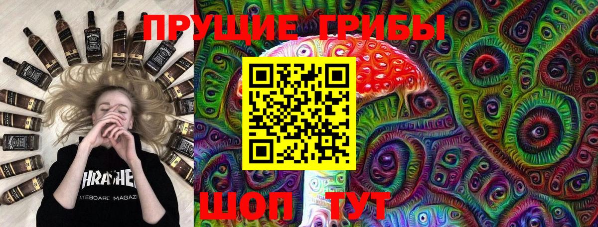 Галлюциногенные грибы ЛСД Кольчугино