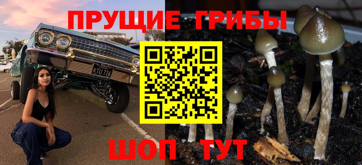 Кольчугино  Галлюциногенные грибы прущие грибы  Псилоцибиновые грибы Psilocybe  Вход с VPN 
