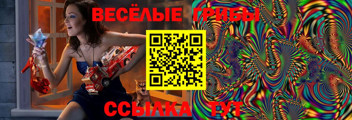 Галлюциногенные грибы ЛСД  Галлюциногенные грибы Magic Shrooms  Кольчугино 