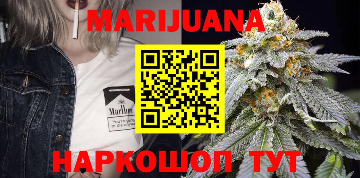 Канабис OG Kush Кольчугино